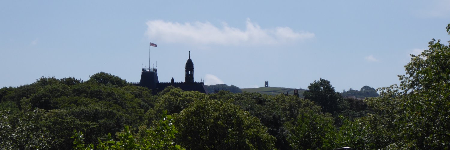 Vision Buxton banner