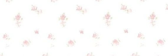 biwi 🐈 banner
