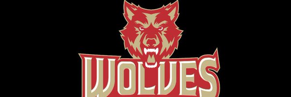 AllRomeWolves Profile Banner