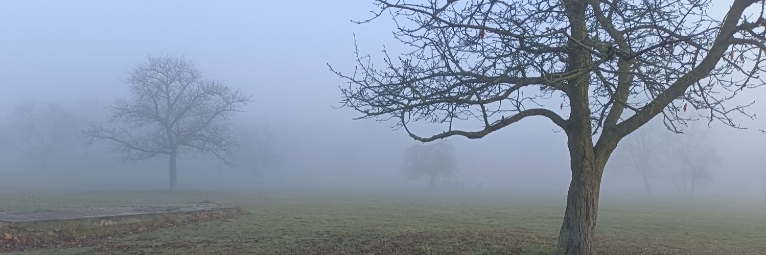 fraumonchi's profile banner image