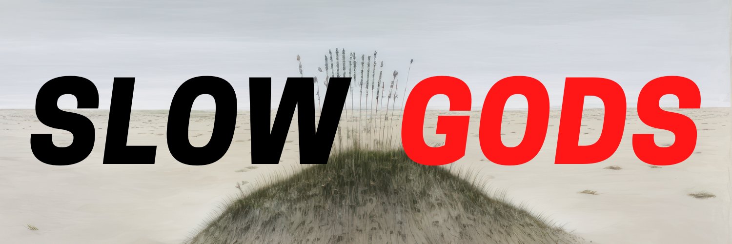 Wily Guys - SLOW GODS's banner
