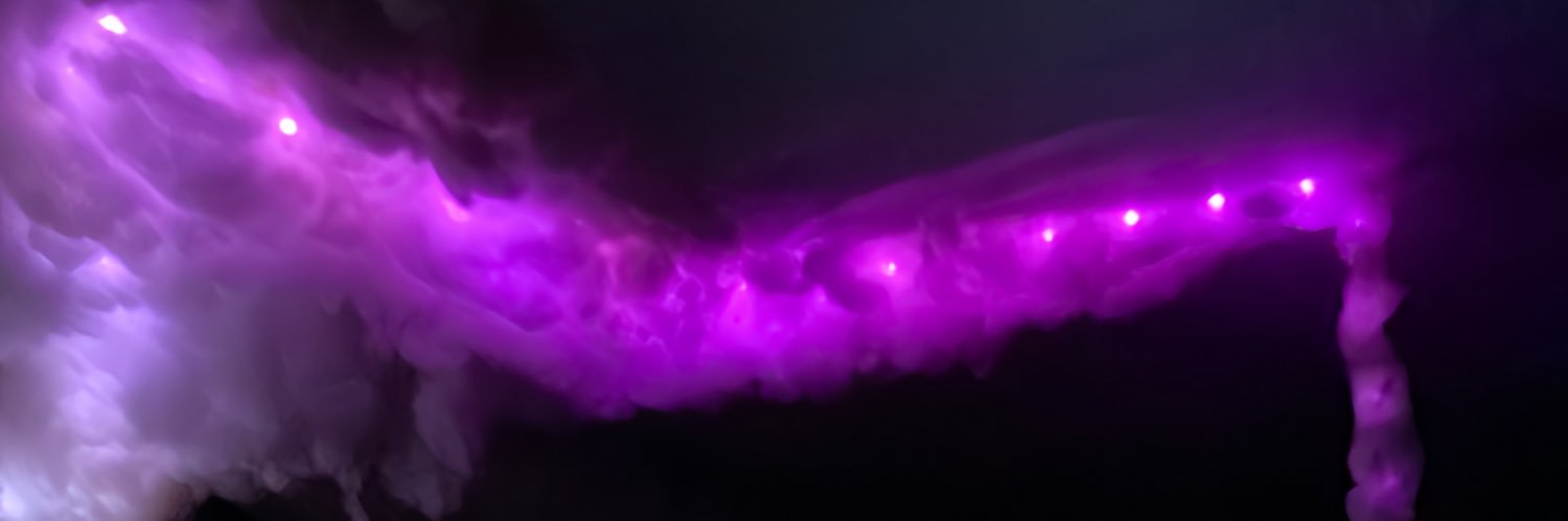 𝔗𝔥𝔬̉ 𝔦𝔲 𝔠𝔞𝔯𝔯𝔬𝔱 🐰 banner