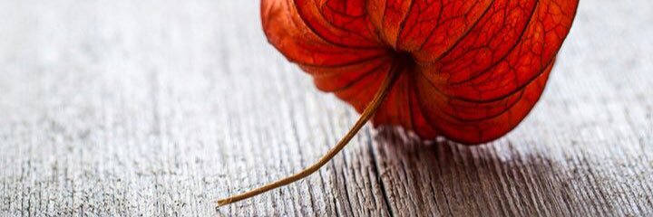 Matzie127's profile banner image