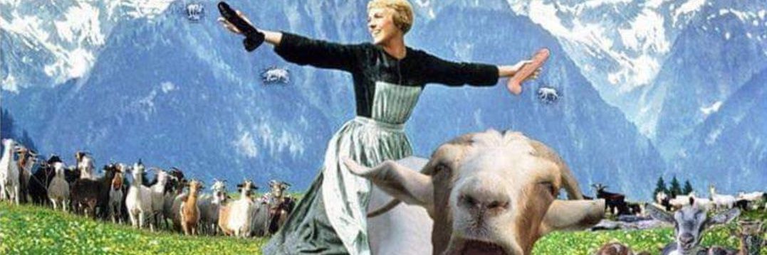 atpeace66 / Lauren banner