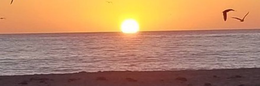 RonitGlickman's profile banner image