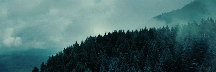 ꒰ྀི১ ໒꒱ིྀ banner