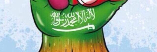 عين على الوطن banner