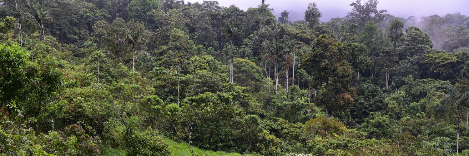 REASSEMBLY Research Unit reassemblynet.bsky.social banner