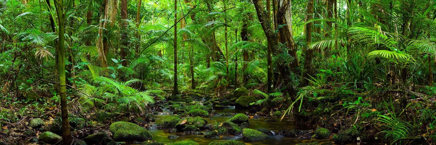 Goodwill Trader banner