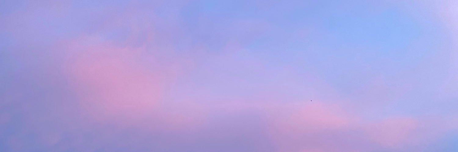 blubabybu's profile banner image
