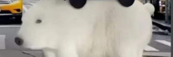 Mikey banner