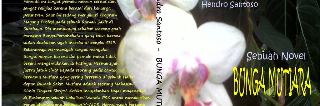 hensa17's profile banner image
