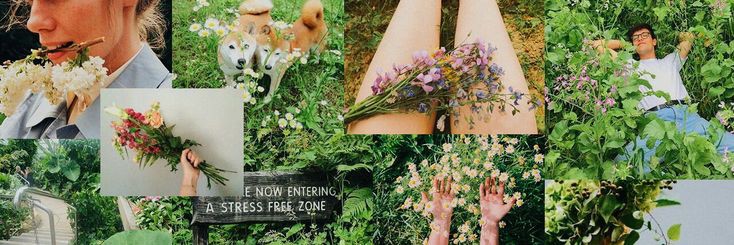. banner