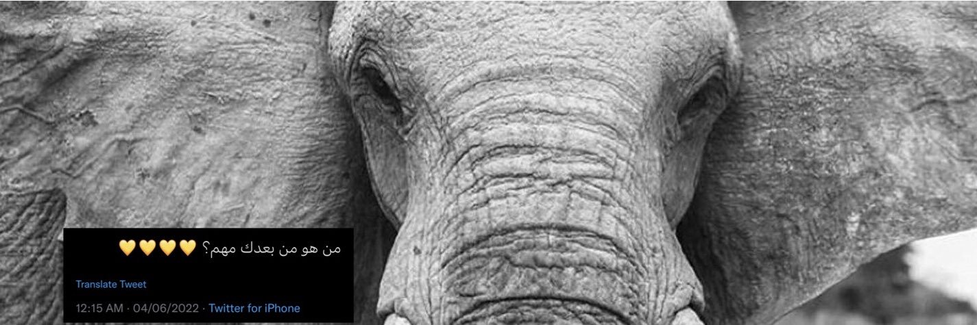 shatha98_'s profile banner image