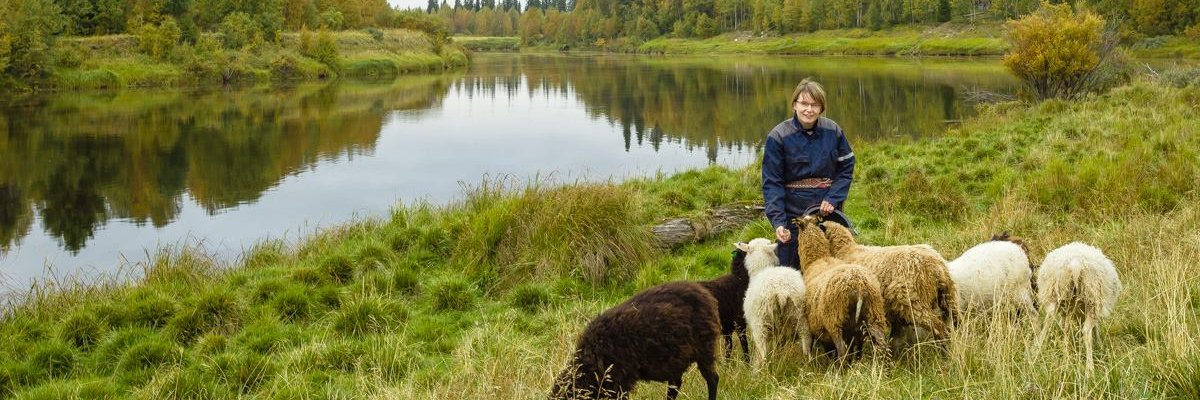 EMMaijala's profile banner image