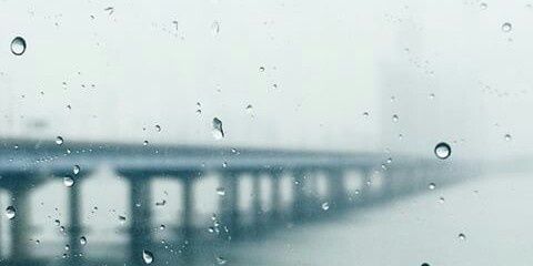 Anaaaaaa_F's profile banner image