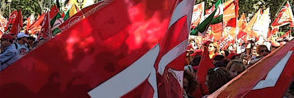 FSS-CCOO Andalucía's banner