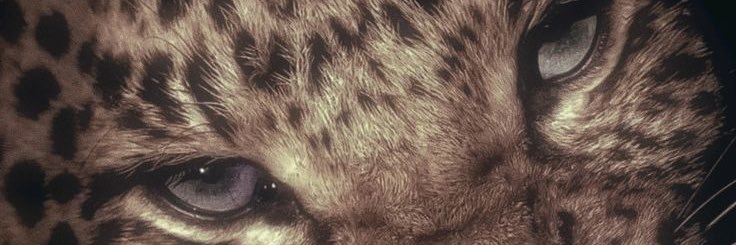 inarasworld's profile banner image