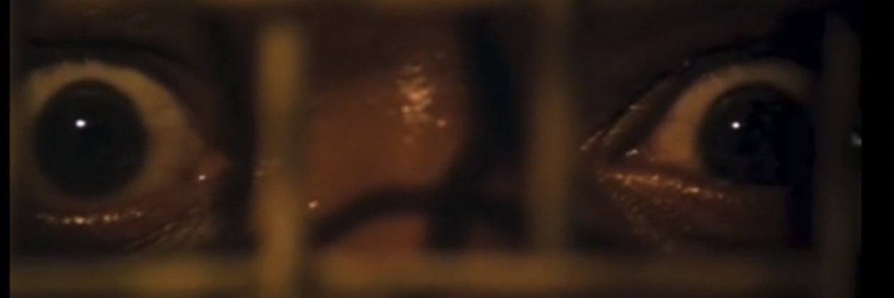 vincent tallcott banner