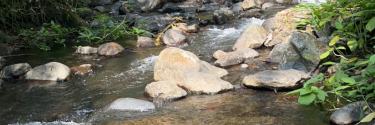 SAEED ALHABIB banner