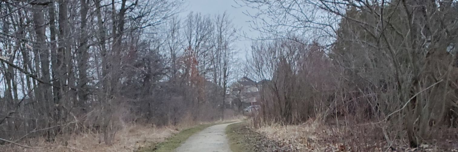 Colleen Hartman banner