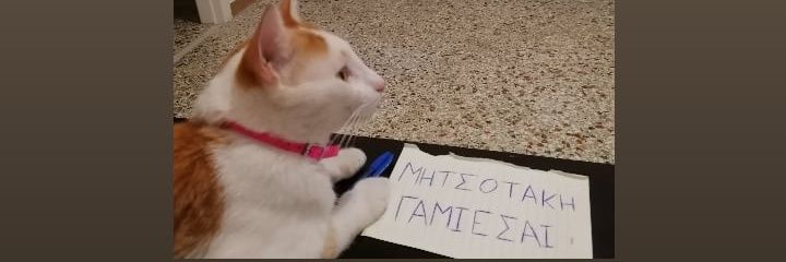 I ksenitemeni banner