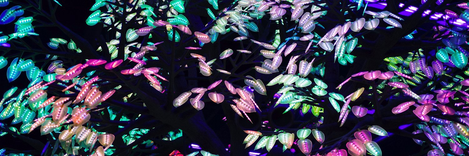 Miraflor Photo banner