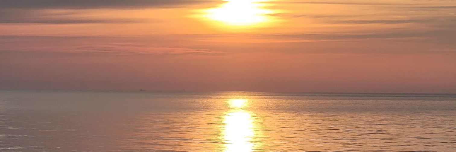 HorrorHomebody banner