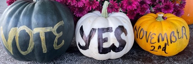 Vote Yes for Byron Schools banner