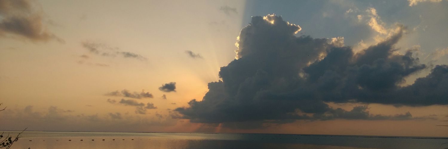 Shedathedot's profile banner image