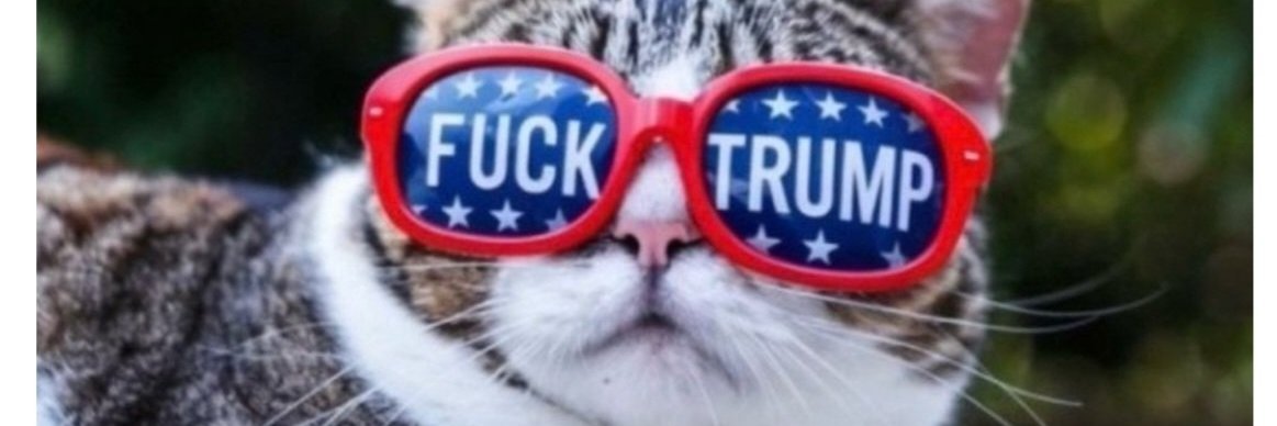 Fưck Trump #FUCKICE banner