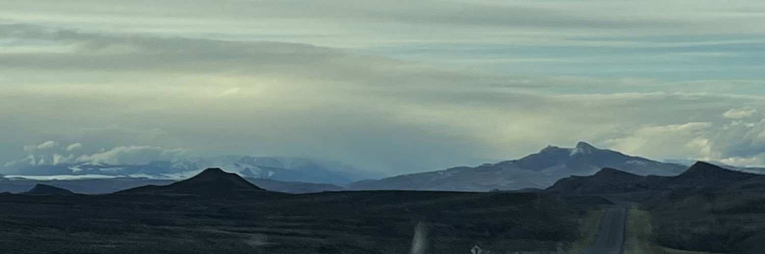 GailJ307 🌸🦬🤠 banner