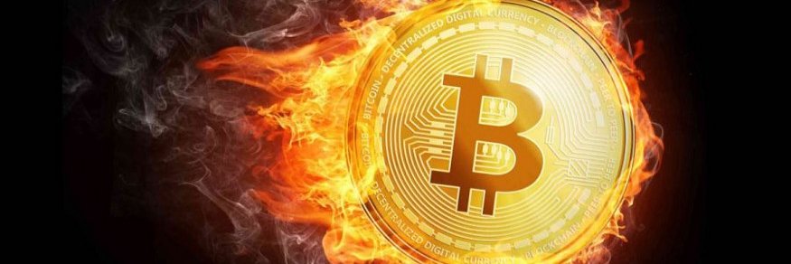 Bitcoin Babe banner