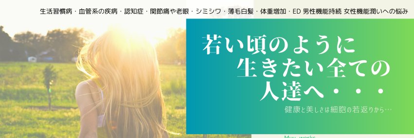MuuWorks's profile banner image