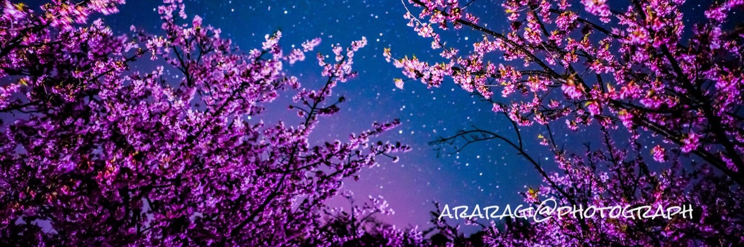 marimon_mon's profile banner image