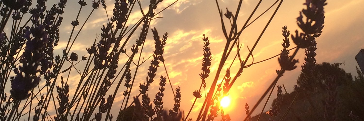 angio3_3's profile banner image