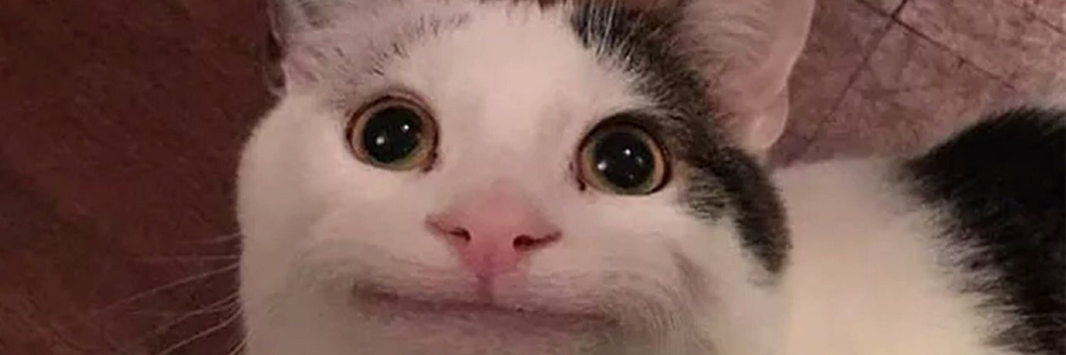 OhayoKevin's profile banner image