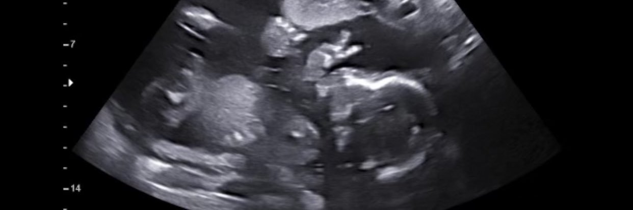 JonelleBateman's profile banner image