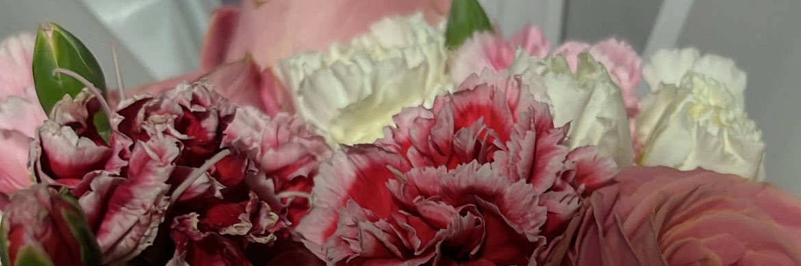 whoisfridaaaa's profile banner image