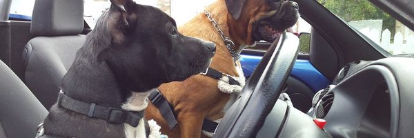 annaojbee Profile Banner