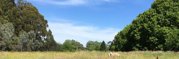 Helen Bott Profile Banner