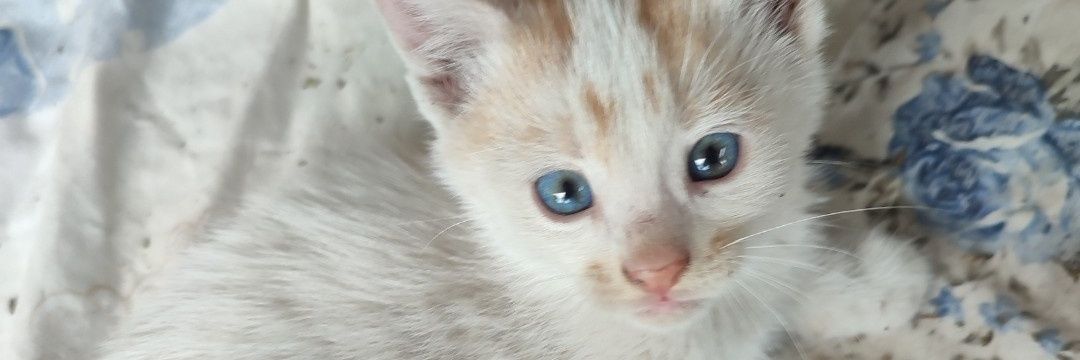 mddmrz's profile banner image
