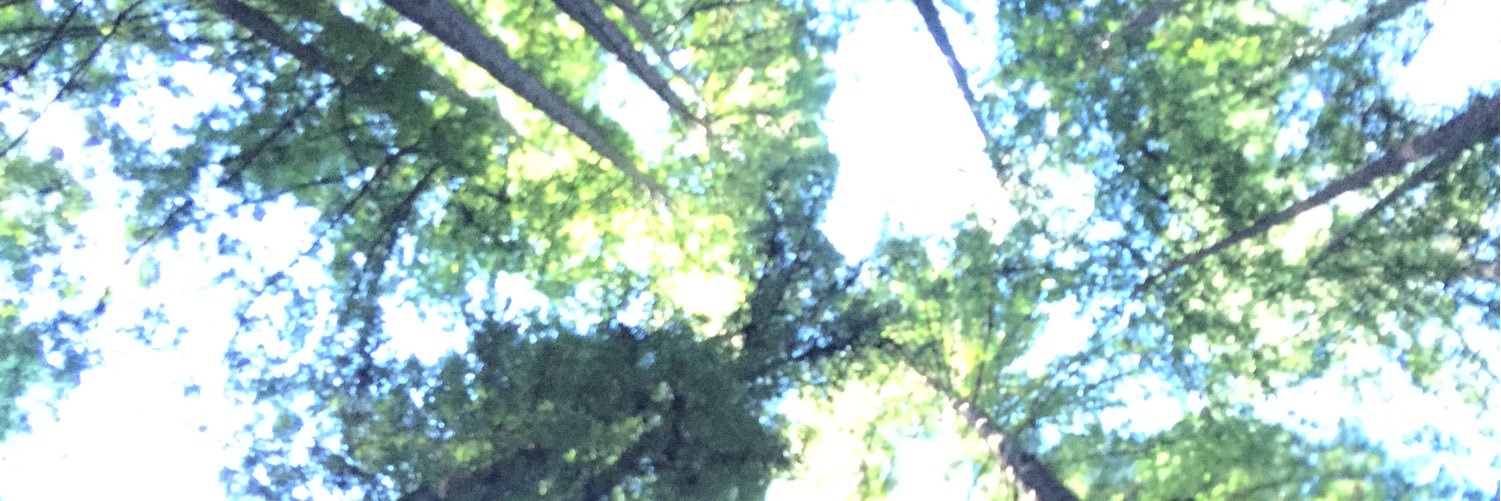 Peter Liebert banner