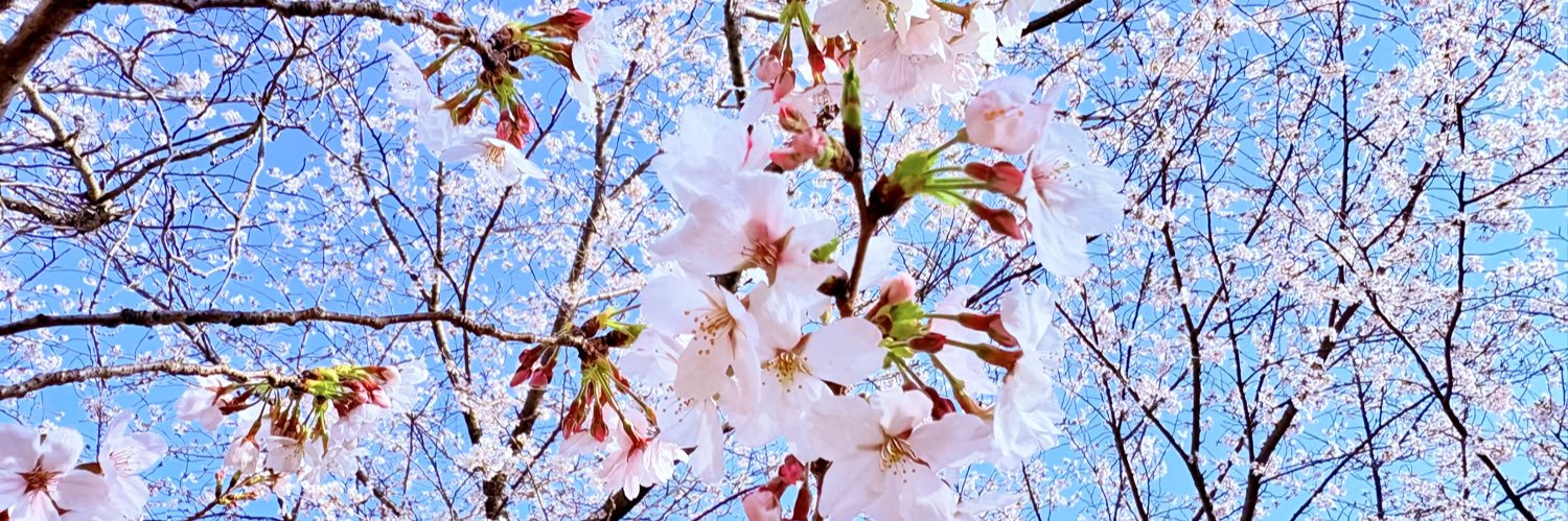 kxa3710's profile banner image