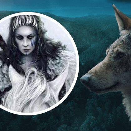 Lovac na programirane idiote banner