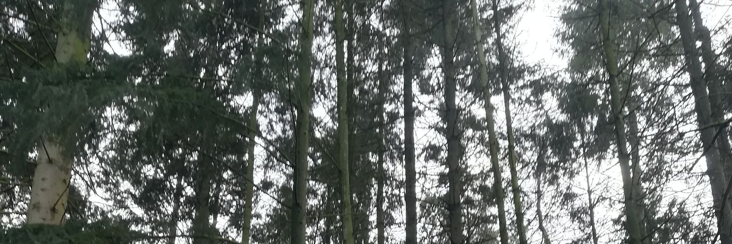 10nutz banner