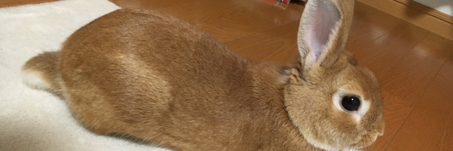 mne3j24's profile banner image