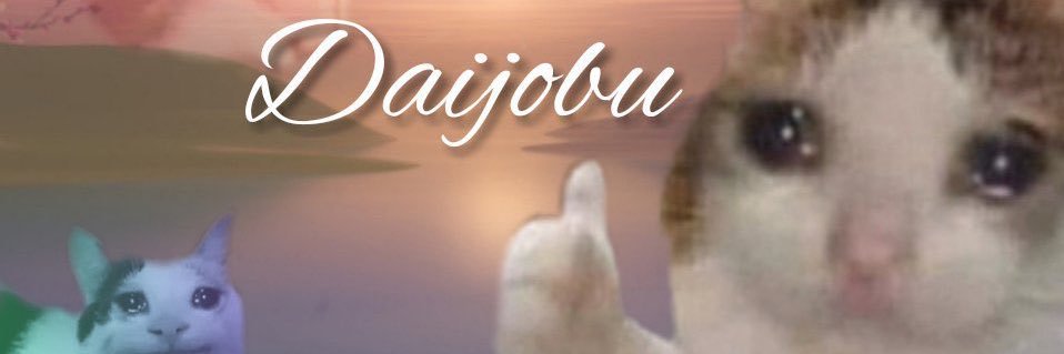 levraiclacla's profile banner image