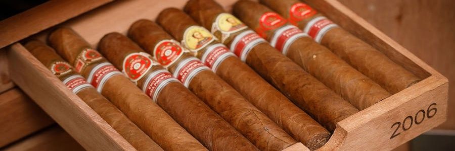 robertgijzelman's profile banner image