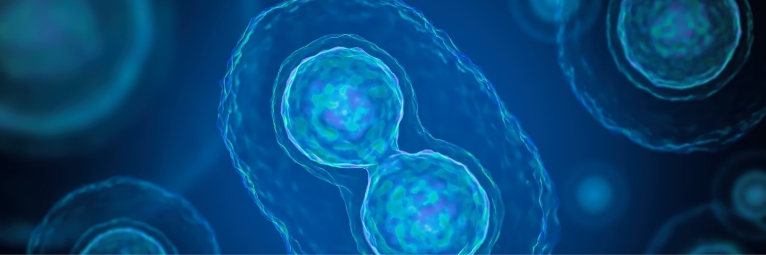 Women's and Children's Health | Karger banner